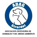 Logo Fundación 4